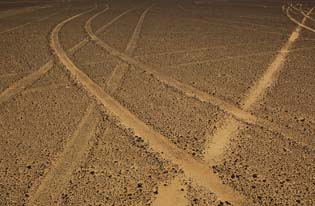 tracks-in-the-sand-2.jpg
